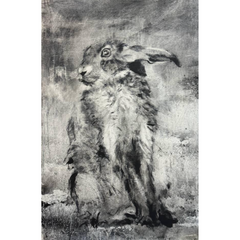 The Rabbits who Caused All the Trouble 2