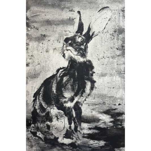 The Rabbits who Caused All the Trouble 1