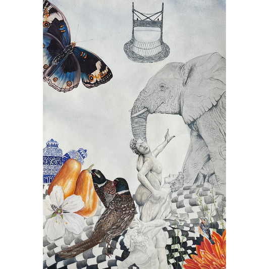 Simin’s Collection