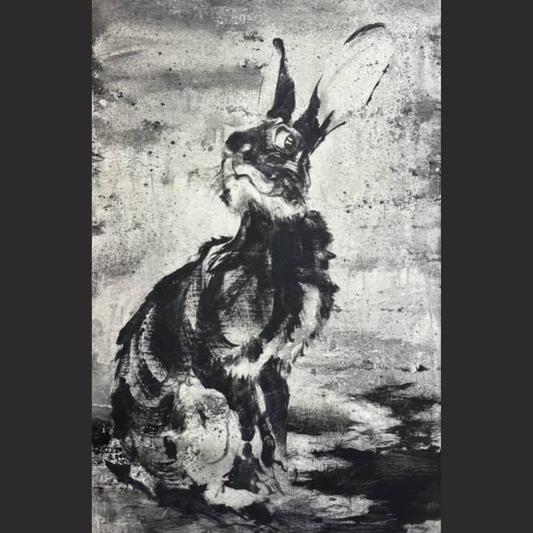 The Rabbits who Caused All the Trouble 1