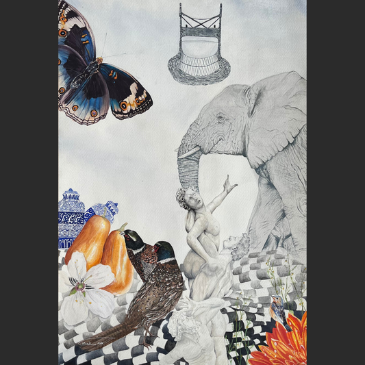 Simin’s Collection