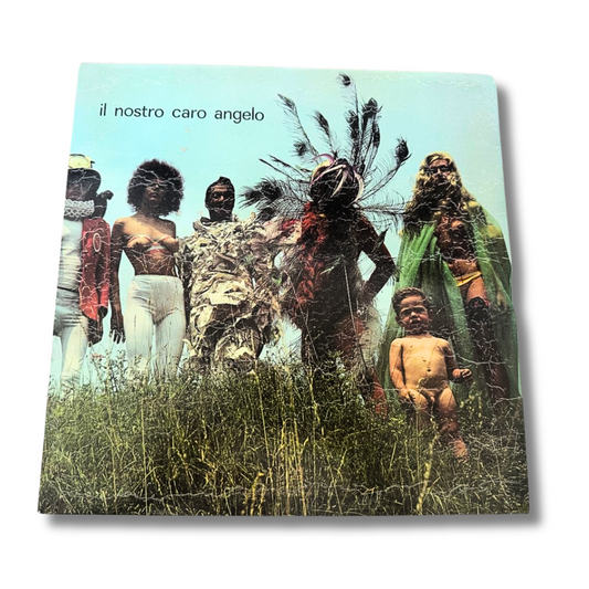 il Nostro Caro Angelo - Vintage Vinyl Records