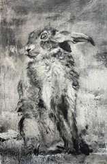 The Rabbits who Caused All the Trouble 2