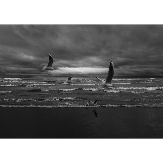 Weightless Horizon