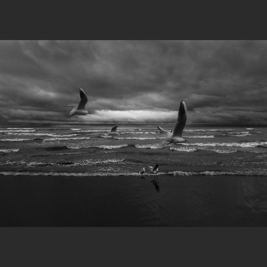 Weightless Horizon